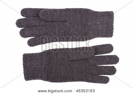 Wool Gloves