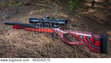 Riflescope On A Rimfire Semi-automatic Firearm On The Forest Floor
