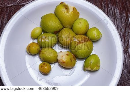 South American Fruits Known As Mangabas Of The Tree Hancornia Speciosa Commonly Called Mangabeira On