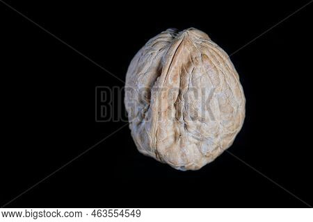 Walnut Photography On A Black Background Photographed Close-up
