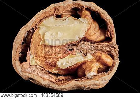 Walnut Photography On A Black Background Photographed Close-up