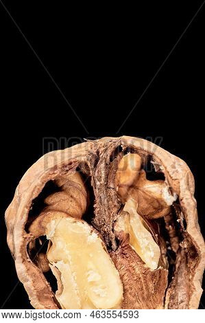Walnut Photography On A Black Background Photographed Close-up