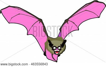 Cartoon Vampire Bat In Flight, Color Vector Illustration