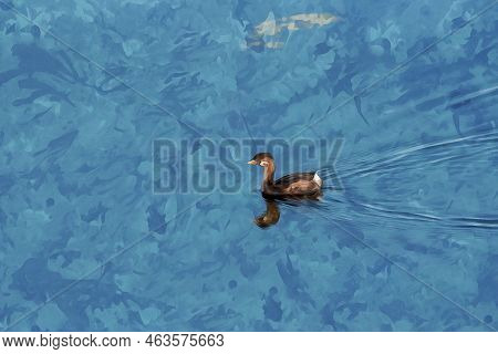 Digitally Created Watercolor Painting Of A Pied-billed Grebe, Podilymbus Podiceps Juvenile Swimming 