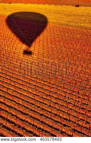 Napa, United States - February 17 2013 : An Aerial View Of Vine Yard Fields In Napa During A Hot Air