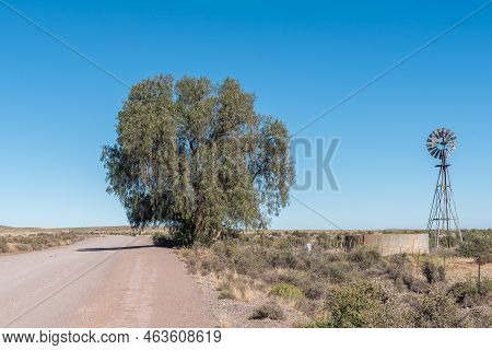 A Landscape, With A Windmill, Dam And Large Tree, On The Road Between Loxton And Fraserburg In The N