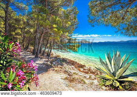 Idyllic Turquoise Rocky Beach Landscape View In Zadar Riviera, Pakostane In Dalmatia Region Of Croat