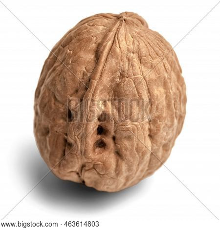 Walnut Photography On White Background Close-up Isolate