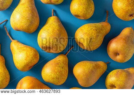 Yellow Pears On A Blue Background. Fruit Harvest. Autumn Still Life. Pear Variety Bera Conference. V