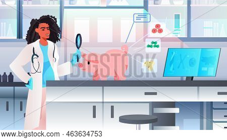 Scientist Looking On Pig Through Magnifying Glass Cultured Red Raw Veal Made From Animal Cells Artif