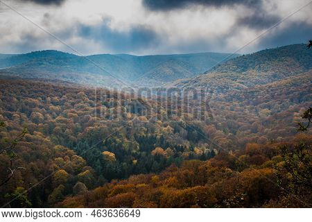 National Park Fruska Gora In Serbia, Autumn