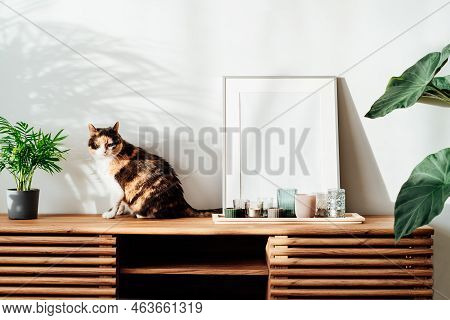 Modern Minimalist Style Interior With White Poster Mockup, Candles And Relaxed Cat On A Wooden Conso