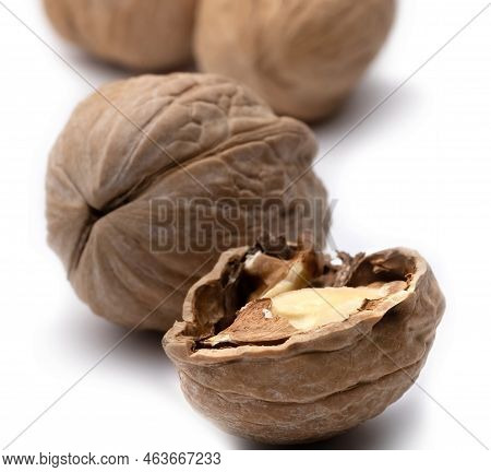 Walnut Photography On White Background Close-up Isolate