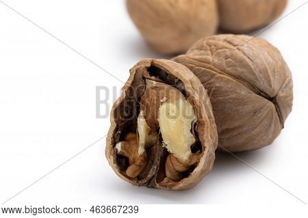 Walnut Photography On White Background Close-up Isolate