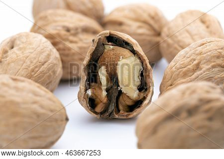 Walnut Photography On White Background Close-up Isolate