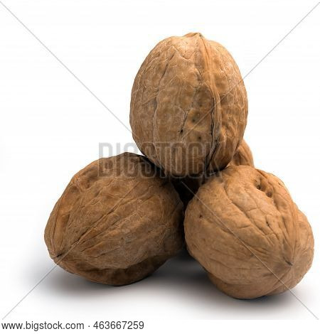 Walnut Photography On White Background Close-up Isolate