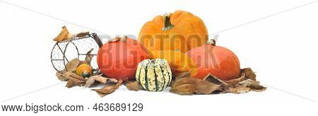 Group Of Gourds With Leaf Arranged In Panoramic View On White Background
