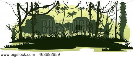Jungle Rainforest. Marshy Area. Nature Landscape Silhouette. Dense Tropical Thickets. Isolated On Wh