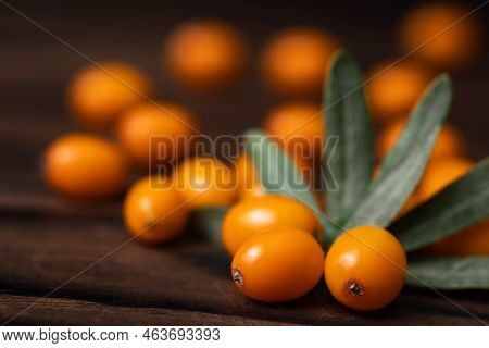 Buckthorn. Sea-buckthorn On Wooden Background. Buckthorn Branch With Leaves