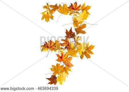 Number 7 Of Colorful Autumn Leaves. Cardinal Number Seven Mades Of Fall Foliage. Autumnal Design Fon