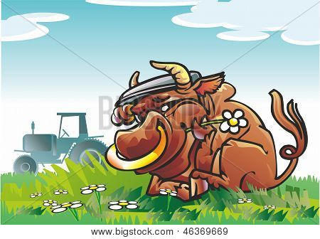 Bufalo