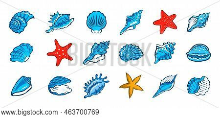 Seashells And Starfish Set. Snail Sea Shell. Marine Underwater Twisted Seashell. Spiral Shape. Under