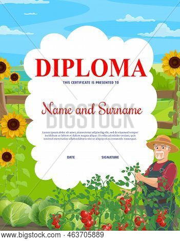 Kids Diploma For Young Farmer, Field And Garden. Vector Certificate For Achievement In Gardening And