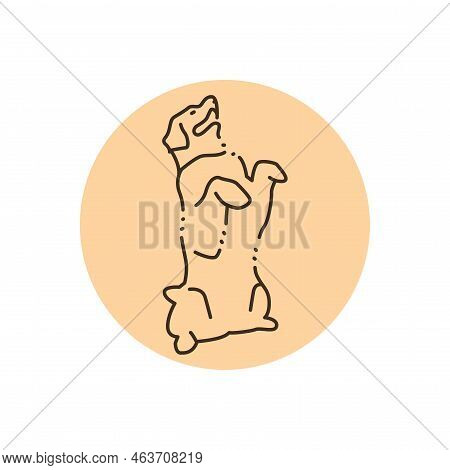 Golder Retriever Makes Command Color Line Icon. Pictogram For Web Page
