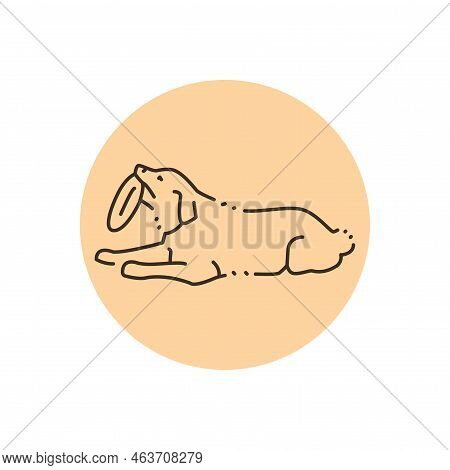Golder Retriever Lying And Holding Frisbee Color Line Icon. Pictogram For Web Page