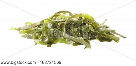 Fresh Laminaria (kelp) Seaweed Isolated On White