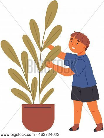 Cute Boy Spends Time With Plants And Grow Tree In Pots At His Garden At Home. Child Takes Care For F