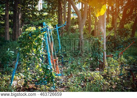Old Outdoor Exercise Equipment So Worn Out And Covered In Trees In Outdoor Exercise Park. Old Abando