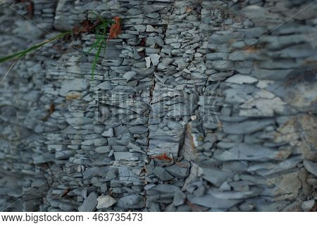 Rock Texture. Small Stones. Texture Background. Background Of Stones