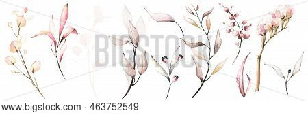 Watercolor Greenery Set Of Light Pink, Orange. Blush Leaves, Twigs And Branches. Spring Romantic Ill