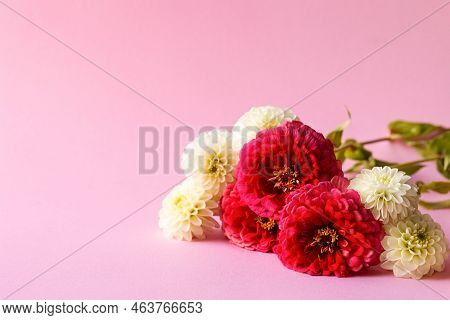 Red Tsinia Flower And White Dahlia Flower On A Pink Background