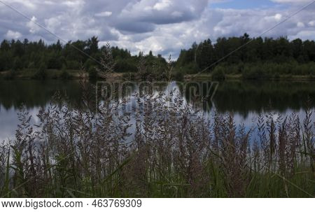 Dramatic Sunrise Over The Calm River In Spring With Bent Grass Against Sun. Daugava, Latvia. High Qu