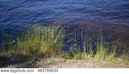 Dramatic Sunrise Over The Calm River In Spring With Bent Grass Against Sun. High Quality Photo