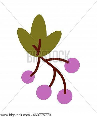 Thanksgiving Violet Berries. Symbol Of Autumn Season, Sticker For Social Networks And Messengers. Na