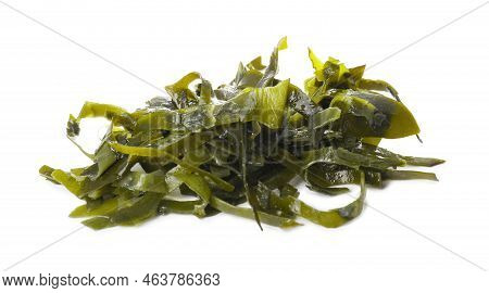 Fresh Laminaria (kelp) Seaweed Isolated On White