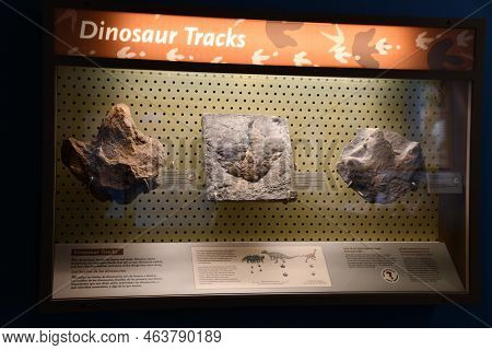 Albuquerque Nm - Jul 24: New Mexico Museum Of Natural History And Science In Albuquerque, New Mexico