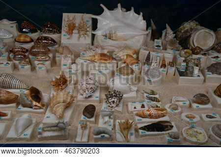 Albuquerque Nm - Jul 24: New Mexico Museum Of Natural History And Science In Albuquerque, New Mexico