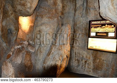 Albuquerque Nm - Jul 24: New Mexico Museum Of Natural History And Science In Albuquerque, New Mexico