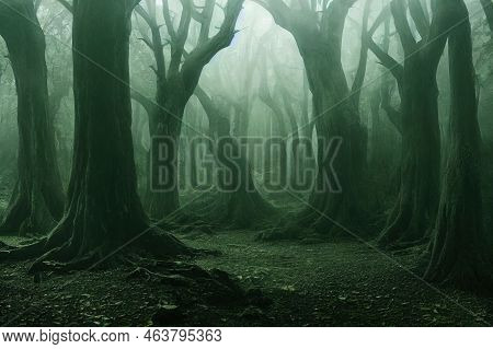 Hoia Forest, One Of The Most Haunted Forest In