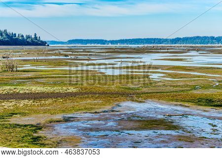 A View Of The Nisqually Wetlands In Washington State. Landscape Photo.