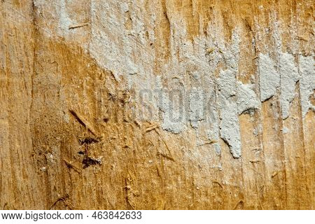Wood Texture Wooden Background Close-up Top View