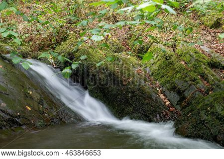 Horner Woods In Somerset