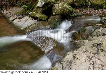 Horner Woods In Somerset
