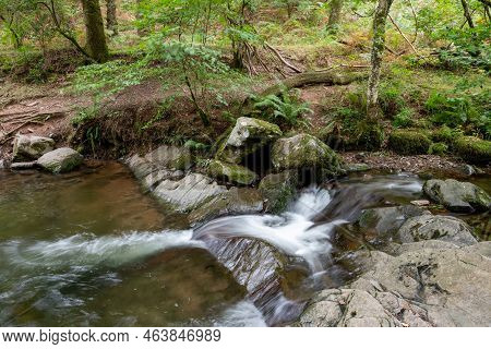 Horner Woods In Somerset