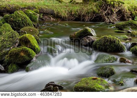 Horner Woods In Somerset