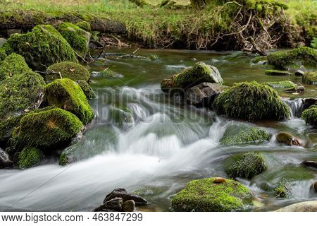 Horner Woods In Somerset